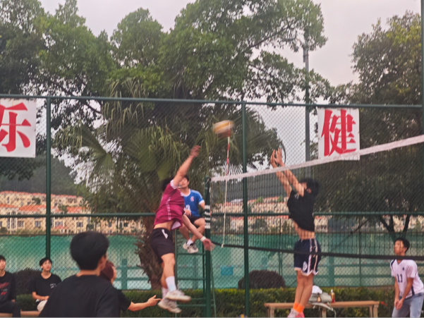 图片14.png